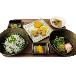静岡　用宗みなと温泉　お知らせ - 2019年11月08日