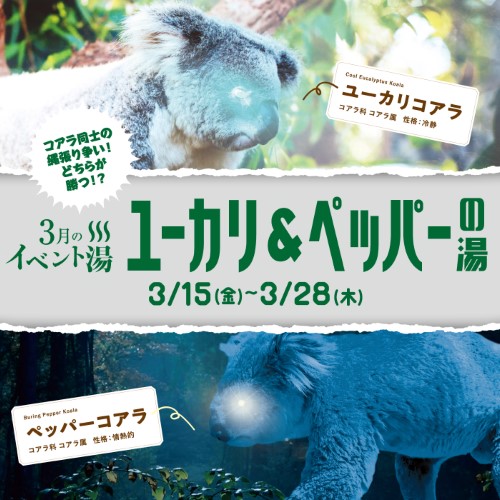 静岡　用宗みなと温泉　お知らせ - 2024年03月12日